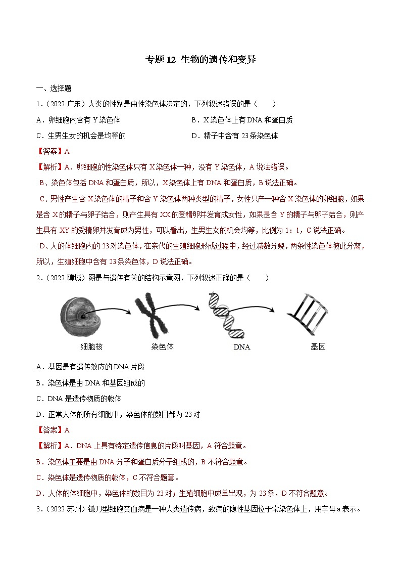 初中生物中考复习 专题12 生物的遗传和变异-三年（2020-2022）中考生物真题分项汇编（全国通用）（解析版）第1页
