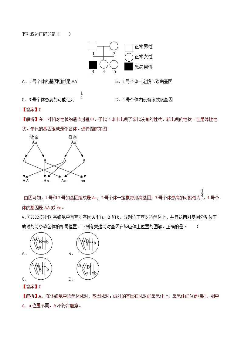 初中生物中考复习 专题12 生物的遗传和变异-三年（2020-2022）中考生物真题分项汇编（全国通用）（解析版）第2页