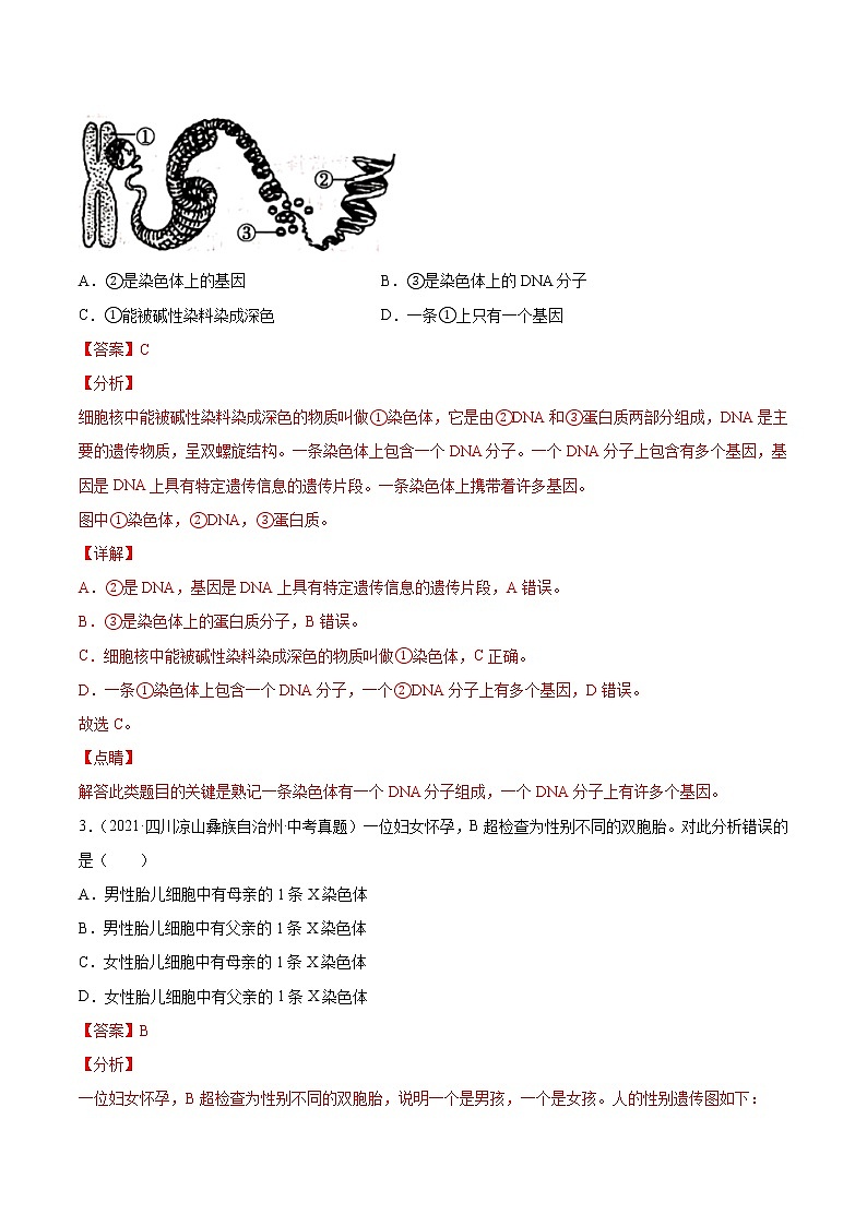 初中生物中考复习 专题12 生物的遗传和变异-2021年中考生物真题分项汇编（全国通用）（第1期）（解析版）第2页