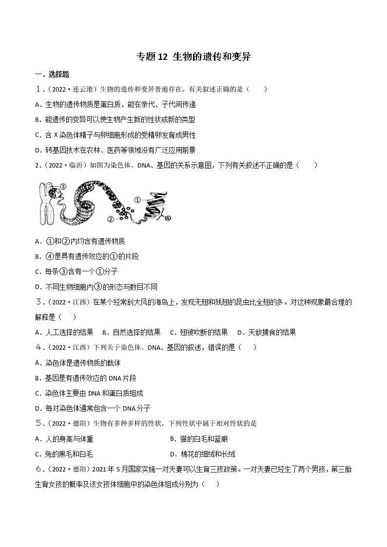 初中生物中考复习 专题12 生物的遗传和变异-2022年中考生物真题分项汇编 （全国通用）（原卷版）第1页