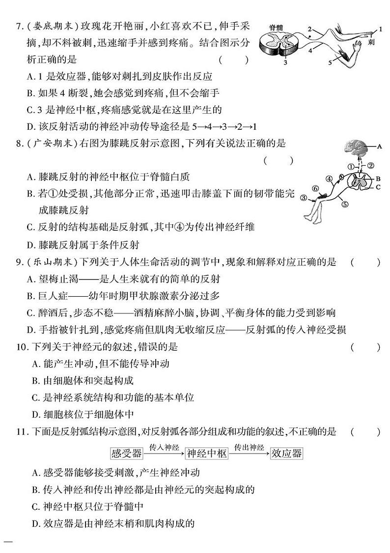 人教版初中生物（七下）黄冈360°定制密卷（2023春）第六章 人体生命活动的调节测试题02