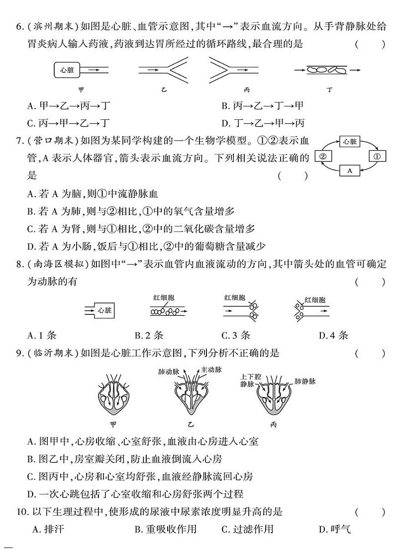 人教版初中生物（七下）黄冈360°定制密卷（2023春）专题三 人体内物质的运输及废物的排出测试题02
