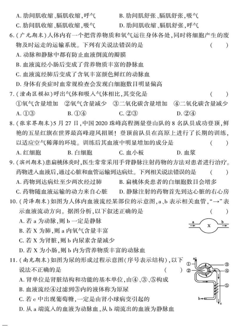 人教版初中生物（七下）黄冈360°定制密卷（2023春）期末测试题（一）02