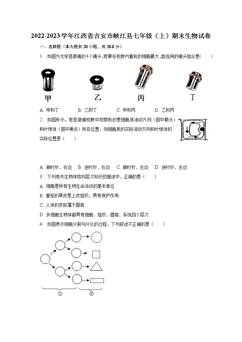 2022-2023学年江西省吉安市峡江县七年级（上）期末生物试卷（含解析）01