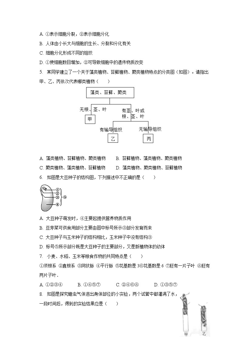 2022-2023学年江西省吉安市峡江县七年级（上）期末生物试卷（含解析）02