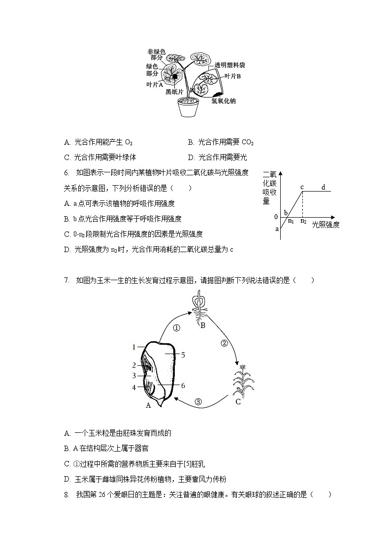 2023年山东省滨州市阳信县一模生物试卷（含解析）02