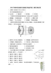 2023年陕西省咸阳市秦都区电建学校三模生物试卷（含答案）