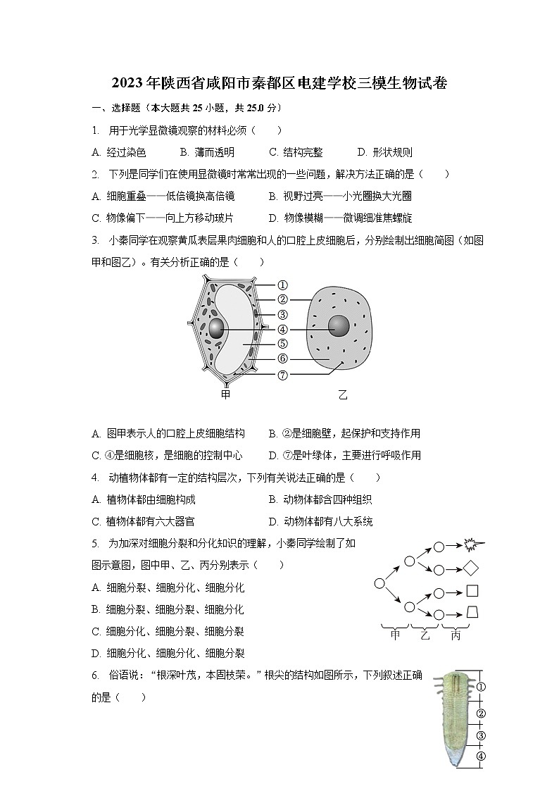 2023年陕西省咸阳市秦都区电建学校三模生物试卷（含答案）第1页