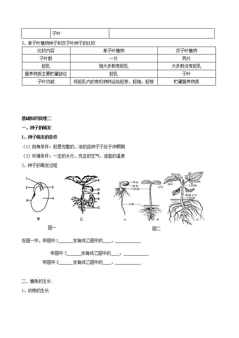 初中生物中考复习 专题三 绿色开花植物的一生-2021年中考生物核心考点必背合集第2页