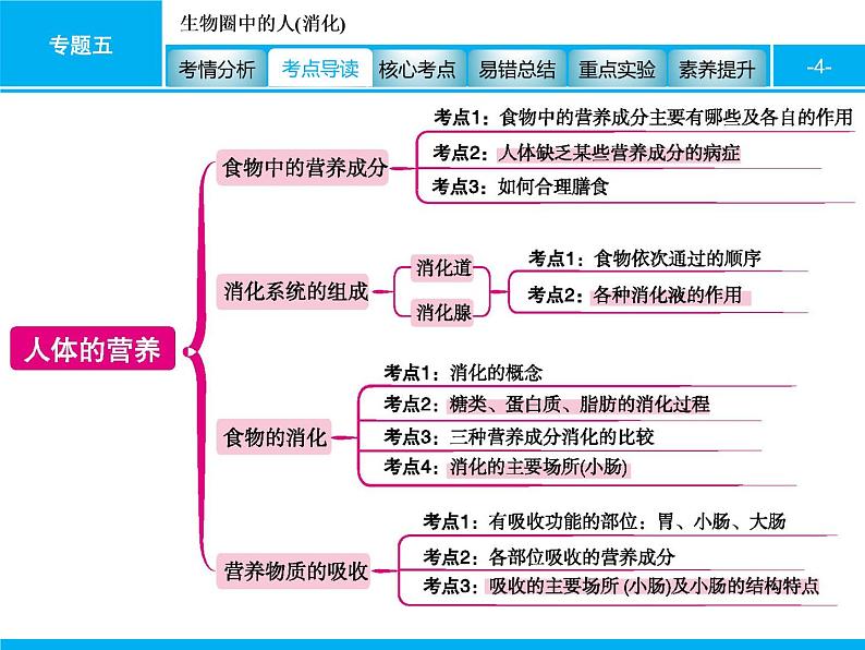 初中生物中考复习 专题五　生物圈中的人(消化) 课件 2021届中考生物一轮复习04