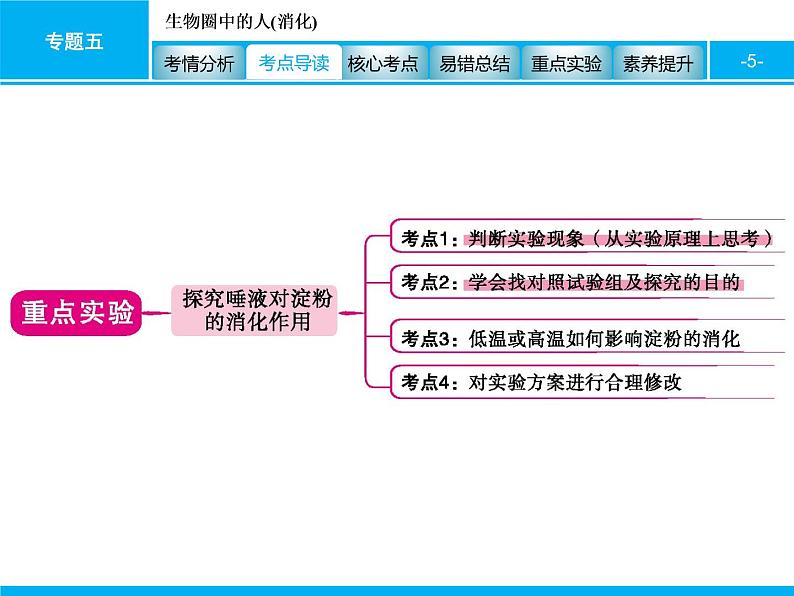 初中生物中考复习 专题五　生物圈中的人(消化) 课件 2021届中考生物一轮复习05