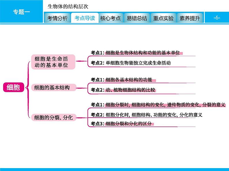 初中生物中考复习 专题一　生物体的结构层次 课件 2021届中考生物一轮复习第6页