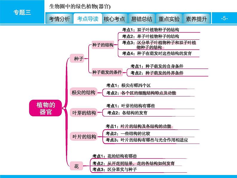 初中生物中考复习 专题三　生物圈中的绿色植物(器官) 课件 2021届中考生物一轮复习第5页