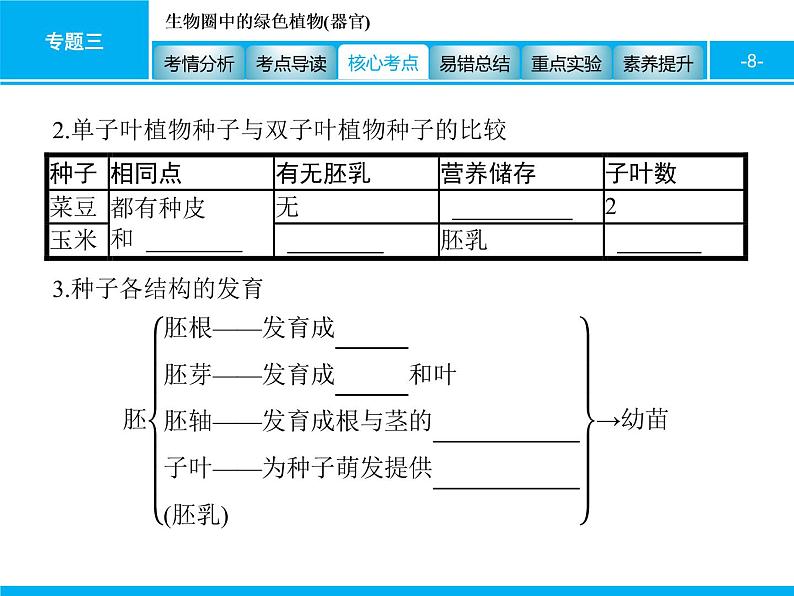 初中生物中考复习 专题三　生物圈中的绿色植物(器官) 课件 2021届中考生物一轮复习第8页