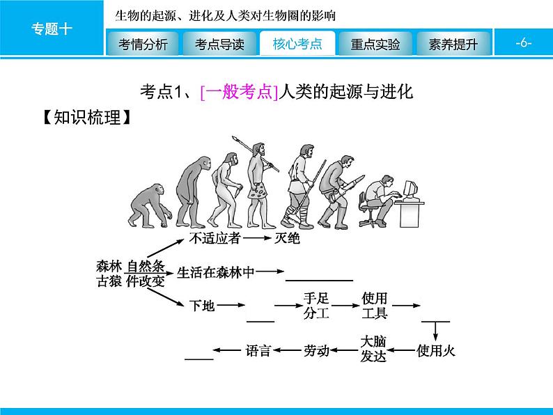 初中生物中考复习 专题十　生物的起源、进化及人类对生物圈的影响 课件 2021届中考生物一轮复习第6页