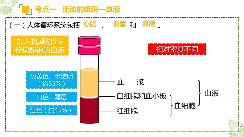 初中生物中考复习 专题12 人体内物质的运输（上课用课件）-【过一轮】2022年中考生物一轮复习课件精讲与习题精练.pptx第3页