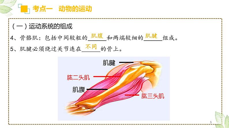 初中生物中考复习 专题16 动物的运动和行为+动物在生物圈中的作用（上课用课件）-【过一轮】2022年中考生物一轮复习课件精讲与习题精练05