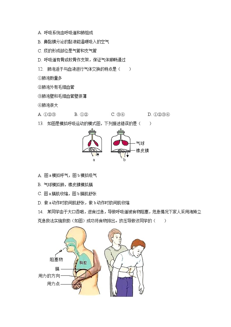 2022-2023学年山东省枣庄市滕州市龙泉街道滕东中学七年级（下）第一次月考生物试卷（含解析）03