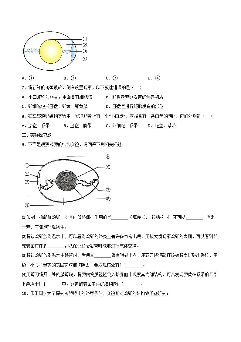 探究题01  观察鸟卵的结构 -八年级下册实验专题03