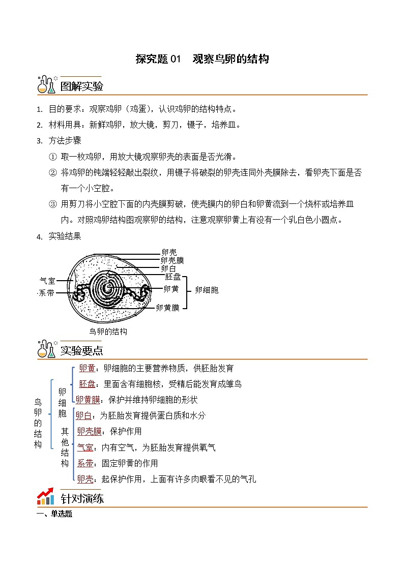 探究题01  观察鸟卵的结构 -八年级下册实验专题01