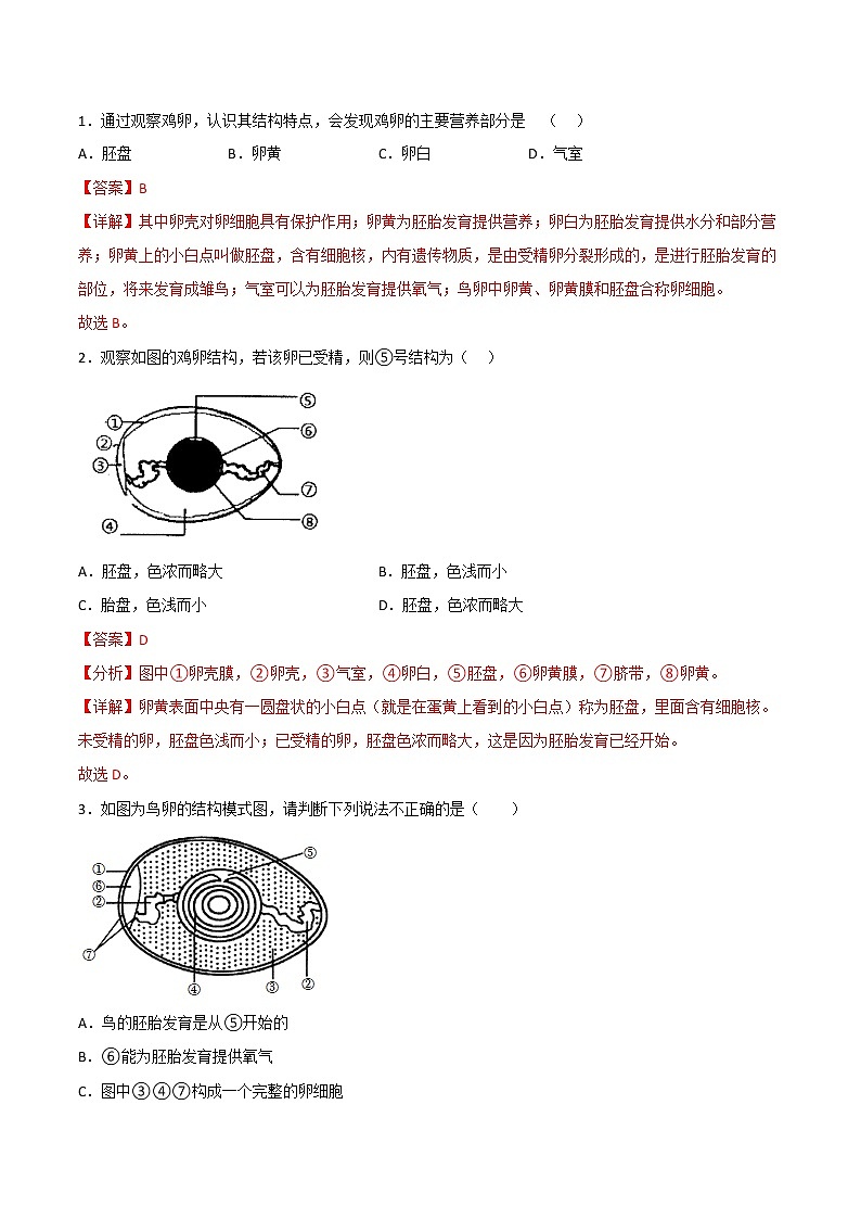 探究题01  观察鸟卵的结构 -八年级下册实验专题02