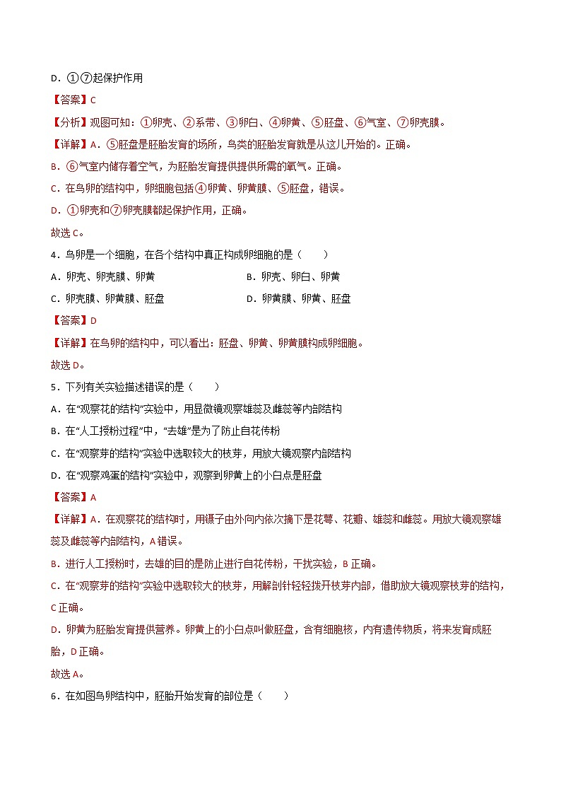 探究题01  观察鸟卵的结构 -八年级下册实验专题03