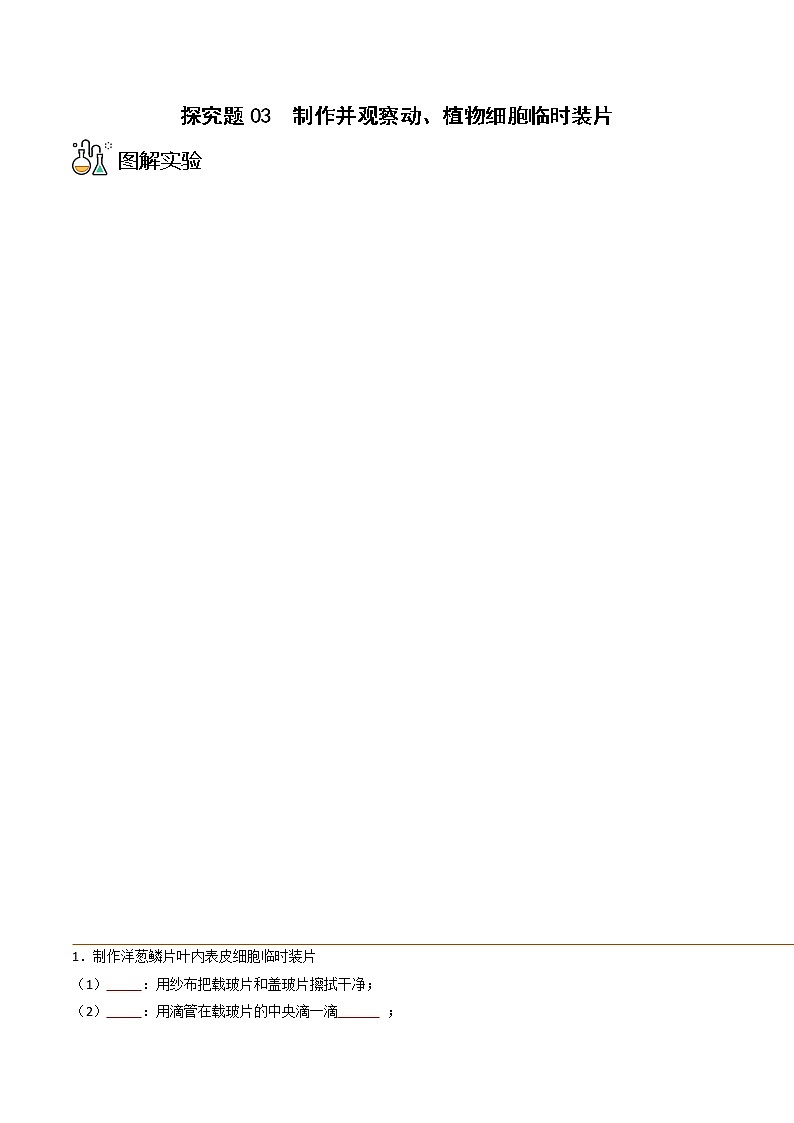 探究题03  制作并观察动、植物细胞临时装片-七年级上册实验专题01