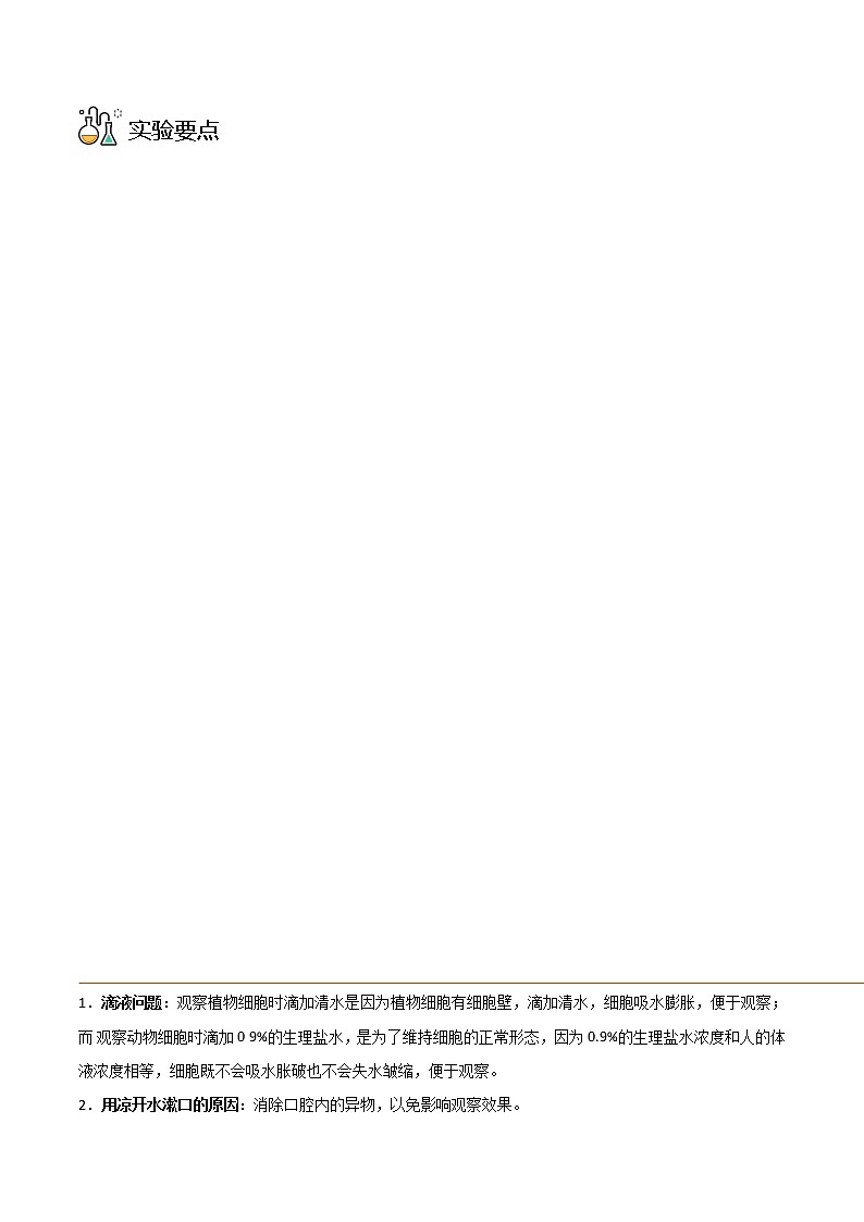 探究题03  制作并观察动、植物细胞临时装片-七年级上册实验专题03