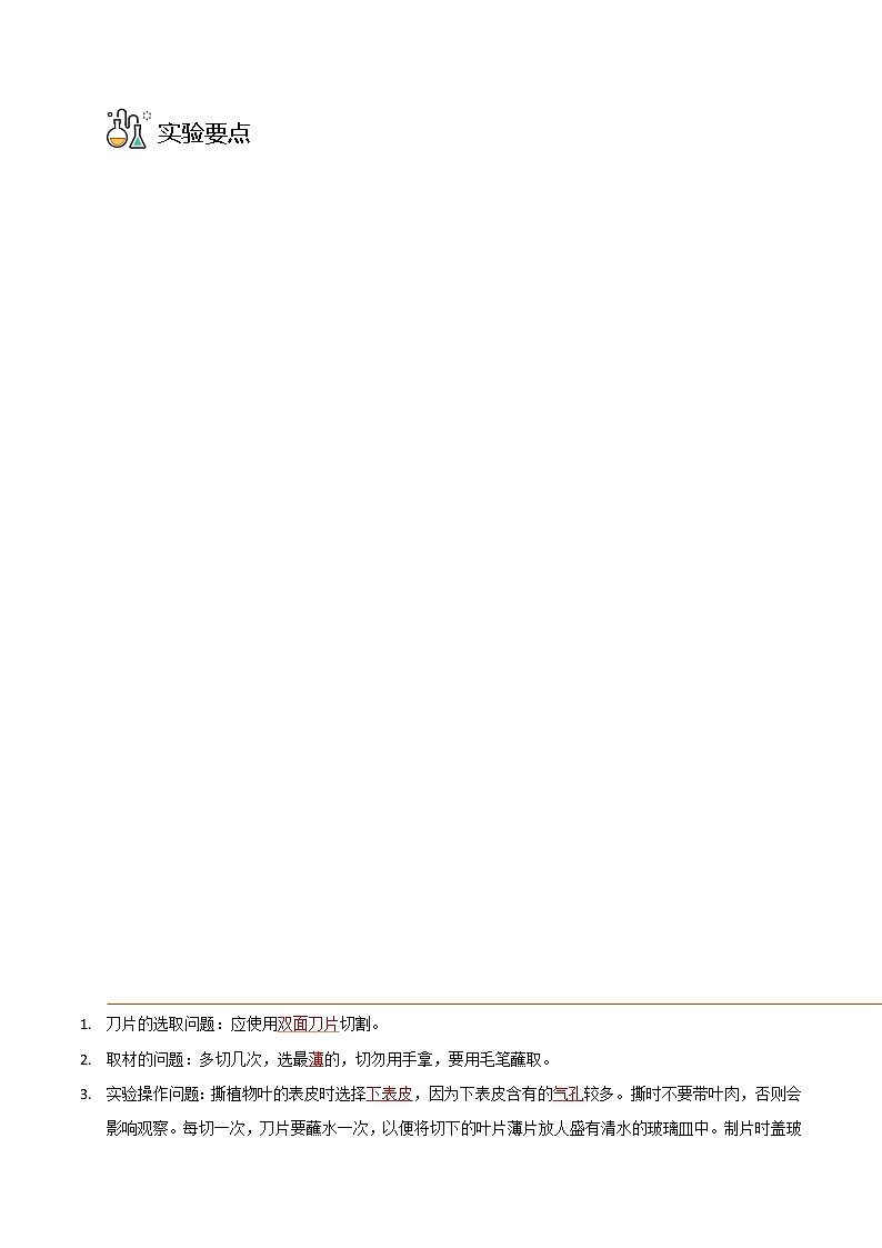 探究题06  观察叶片的结构 -七年级上册实验专题03
