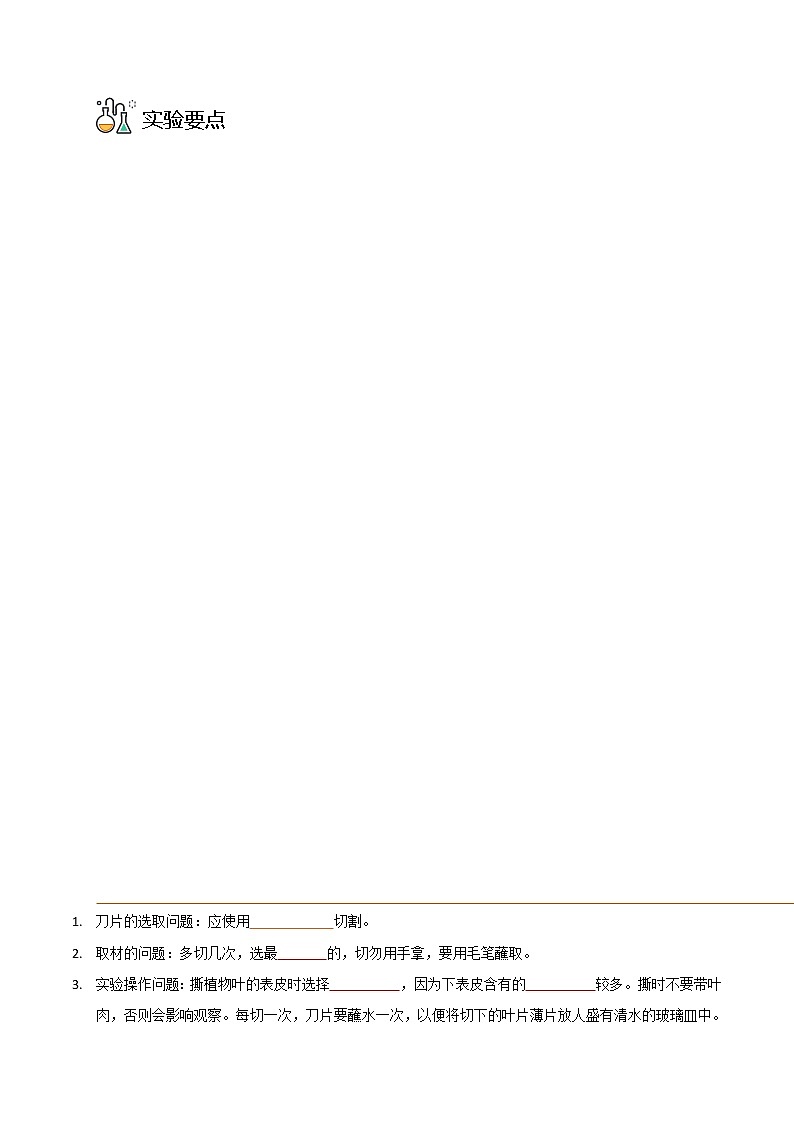 探究题06  观察叶片的结构 -七年级上册实验专题03