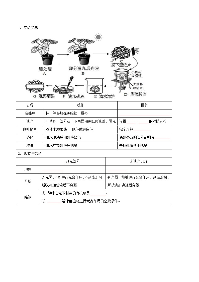 探究题07  绿叶在光下制造有机物-七年级上册实验专题02