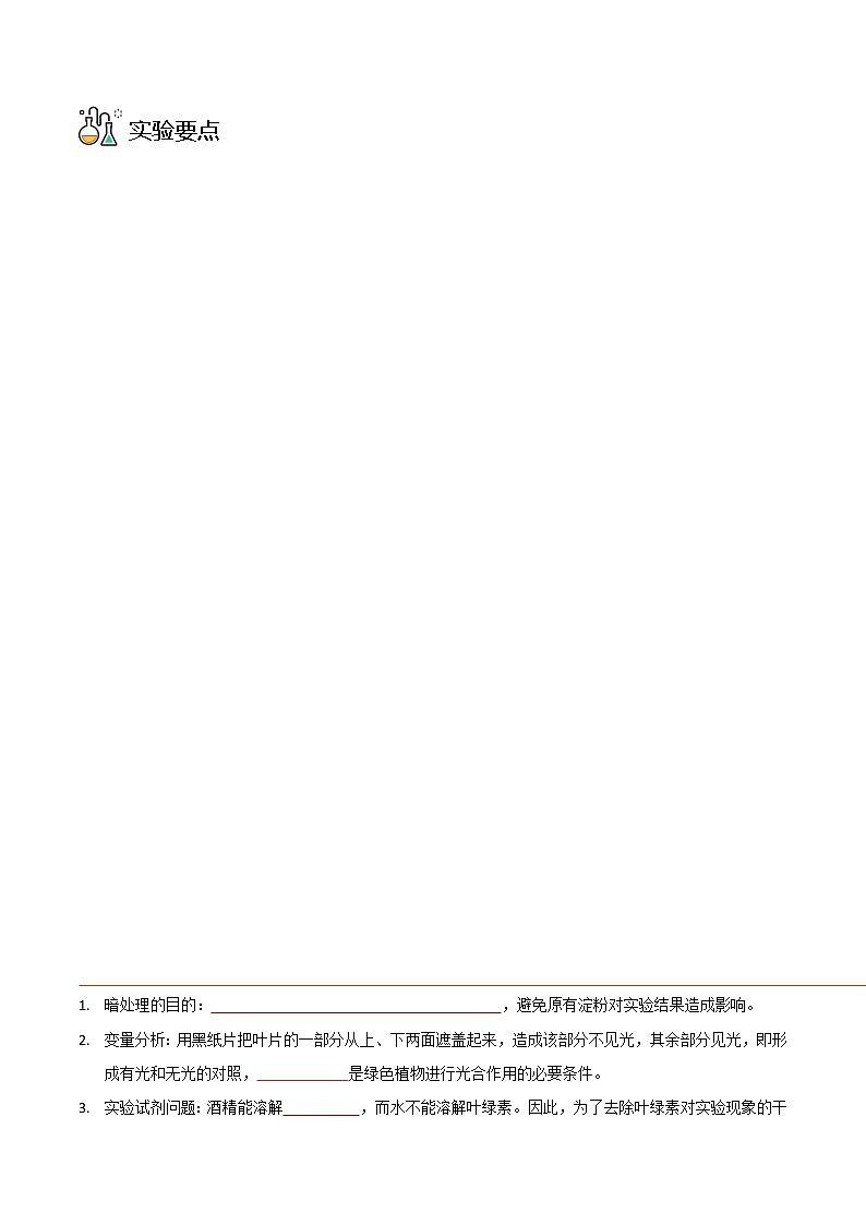 探究题07  绿叶在光下制造有机物-七年级上册实验专题03