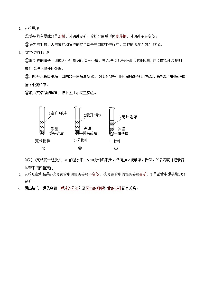 探究题02  馒头在口腔中的变化-七年级下册实验专题02
