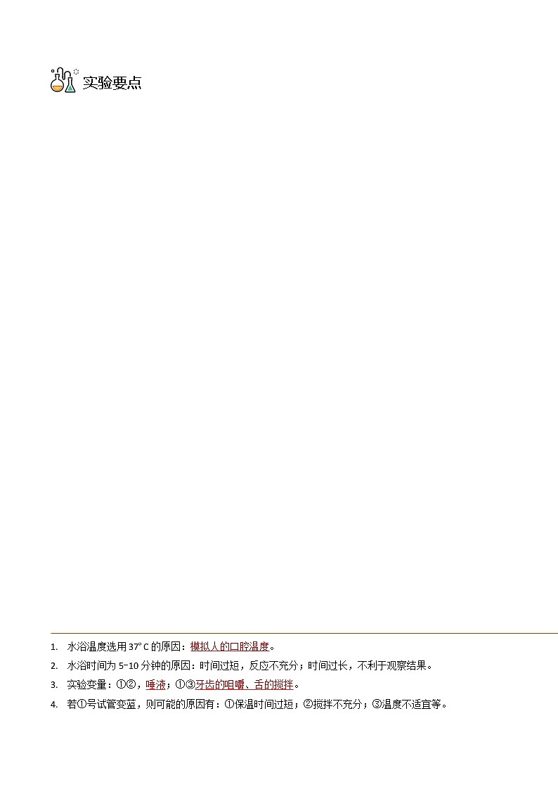 探究题02  馒头在口腔中的变化-七年级下册实验专题03