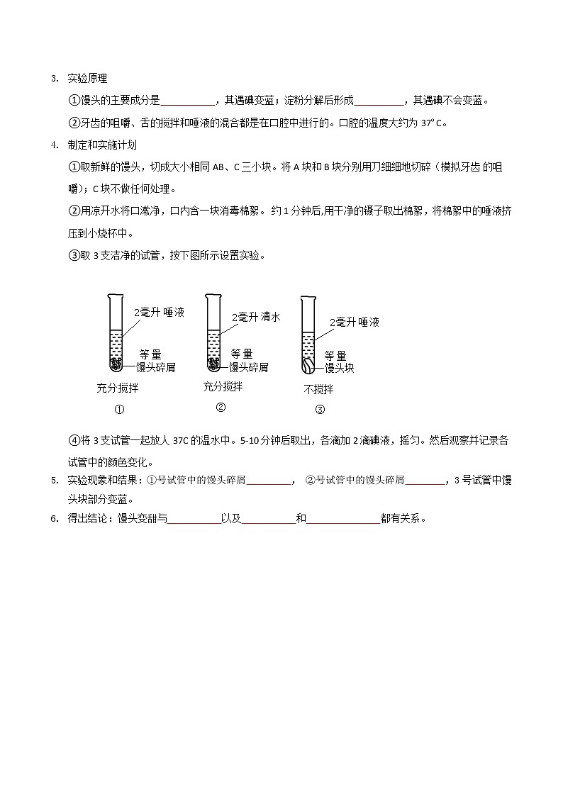 探究题02  馒头在口腔中的变化-七年级下册实验专题02
