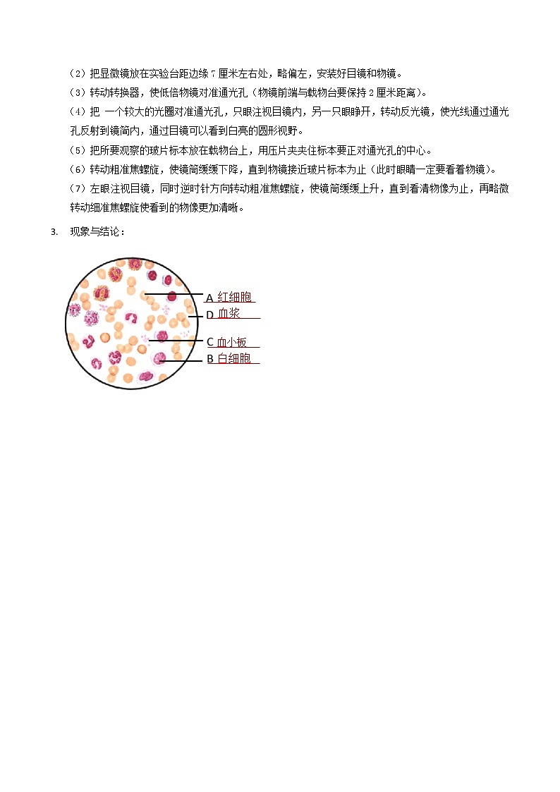 探究题03  用显微镜观察人血永久涂片-七年级下册实验专题02