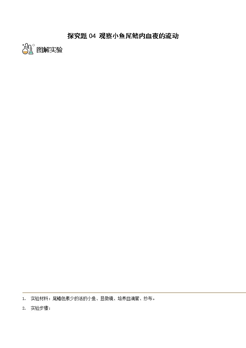 探究题04  观察小鱼尾鳍内血夜的流动-七年级下册实验专题01