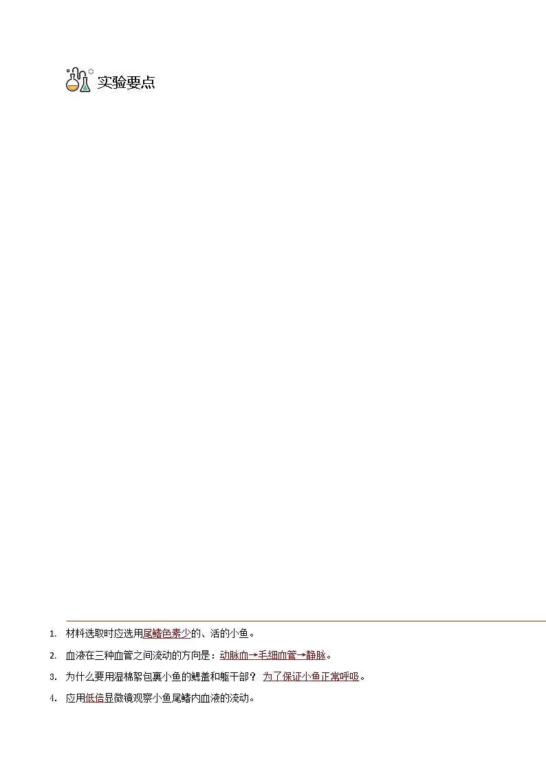 探究题04  观察小鱼尾鳍内血夜的流动-七年级下册实验专题03
