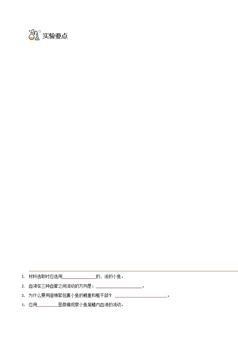 探究题04  观察小鱼尾鳍内血夜的流动-七年级下册实验专题03