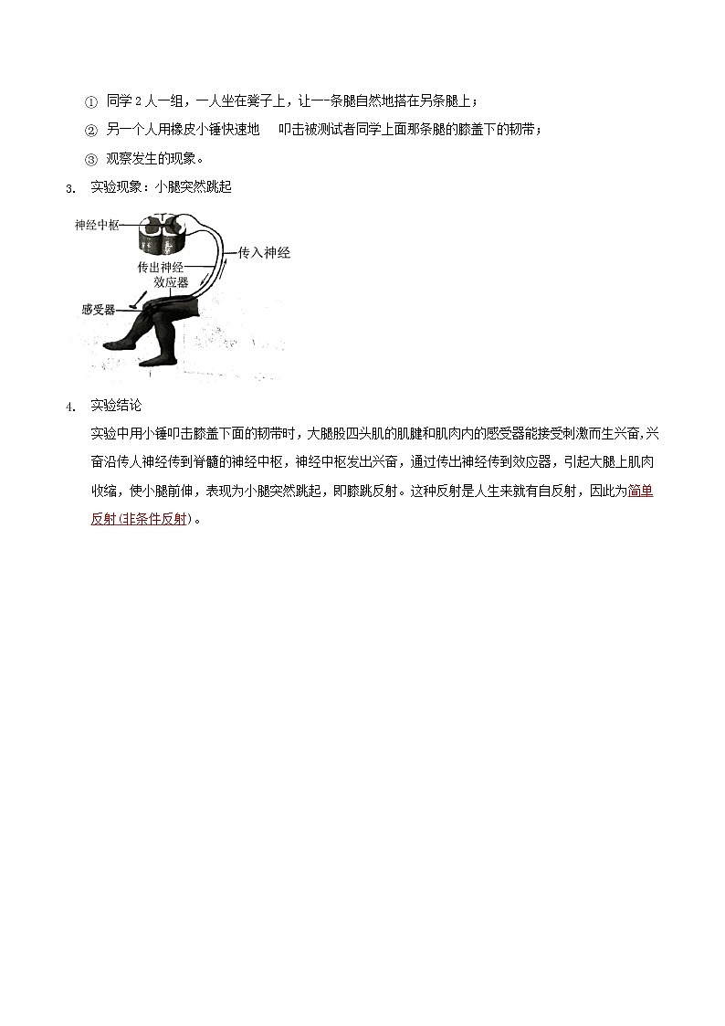 探究题05  膝跳反射-七年级下册实验专题02