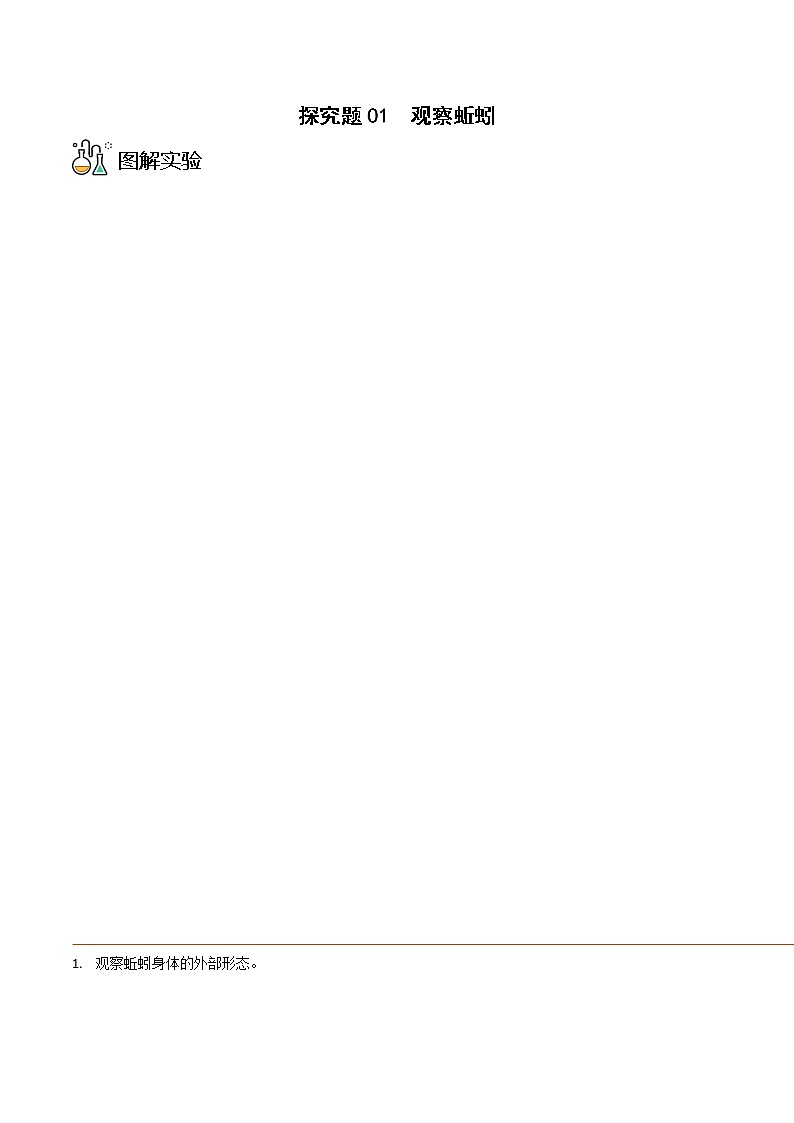 探究题01  观察蚯蚓 -八年级上册实验专题（解析版）第1页