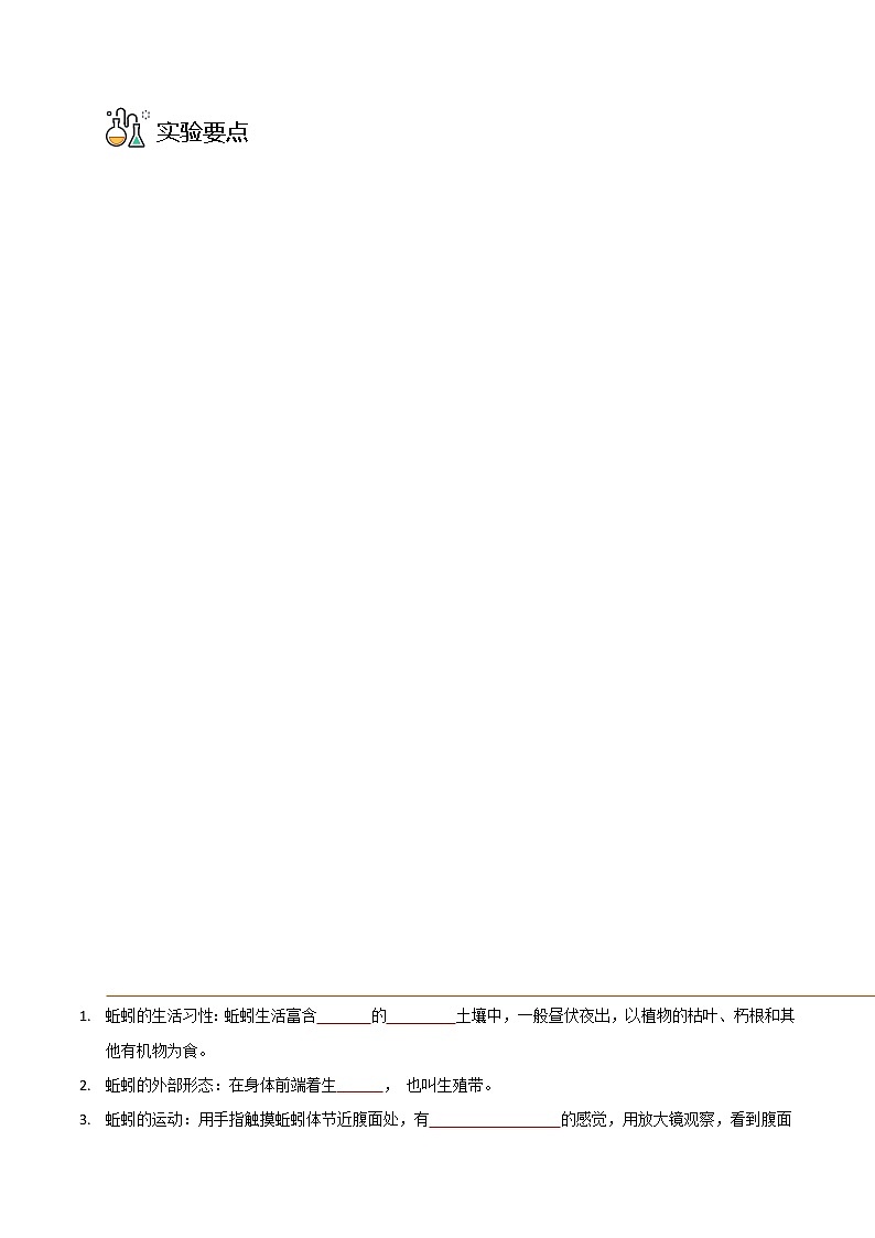 探究题01  观察蚯蚓 -八年级上册实验专题（原卷版）第3页