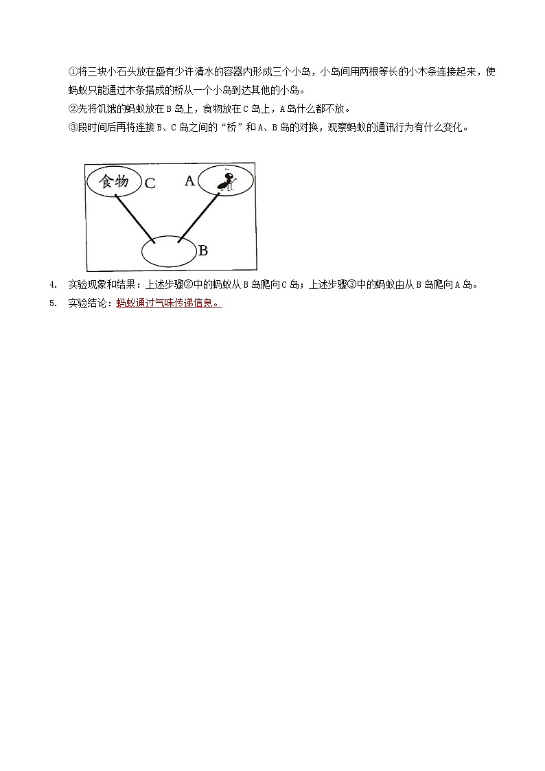 探究题03  蚂蚁的通讯-八年级上册实验专题02