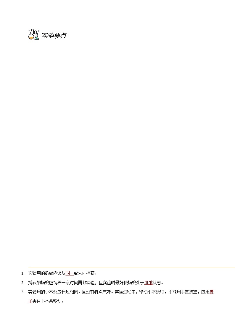 探究题03  蚂蚁的通讯-八年级上册实验专题03
