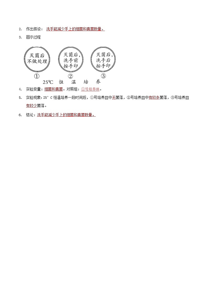 探究题04  检测不同环境中的细菌和真菌-八年级上册实验专题02