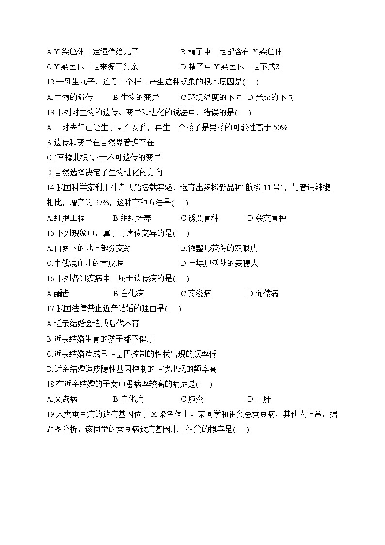 冀少版生物八年级下册单元检测卷 第六单元第二章 生物的遗传和变异（测基础）03