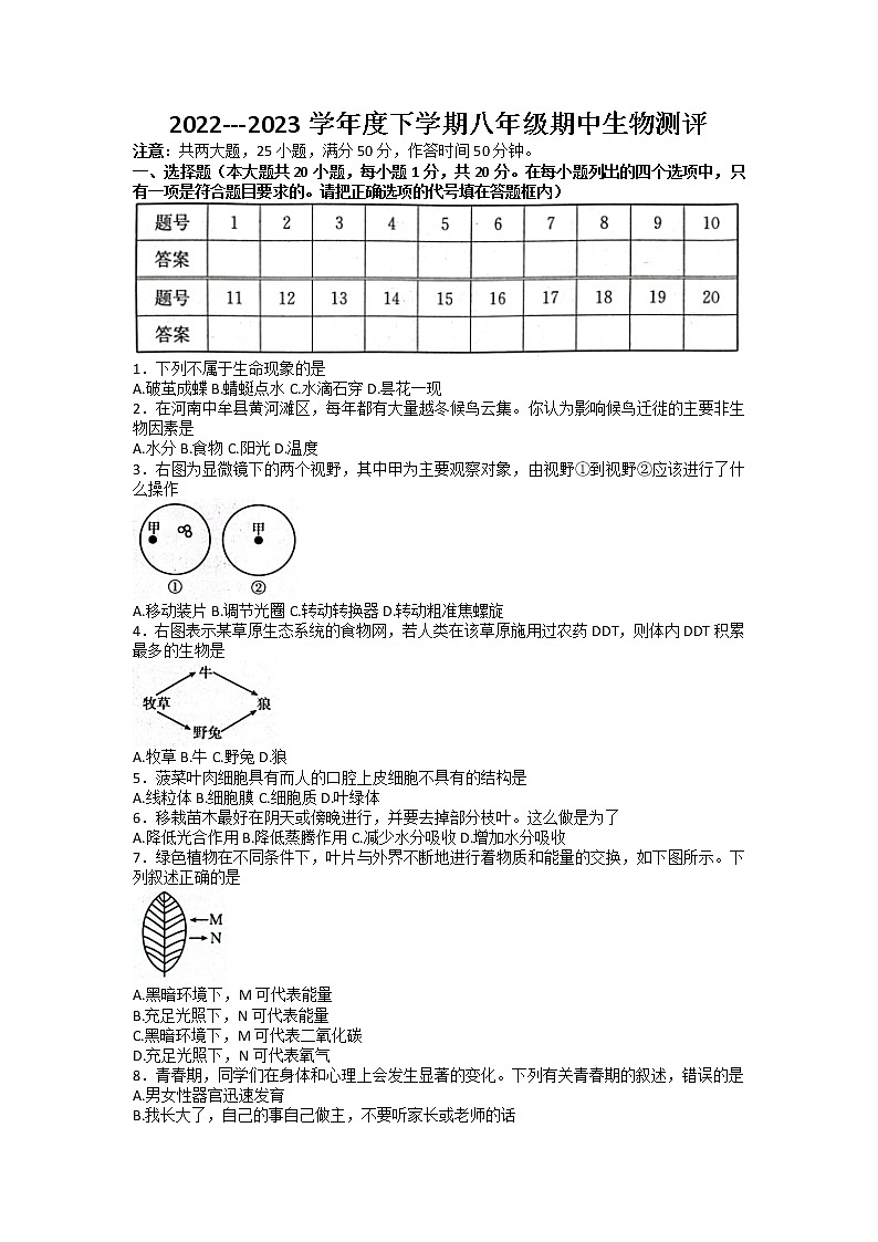 河南省周口市郸城县2022-2023学年八年级下学期期中生物试题01