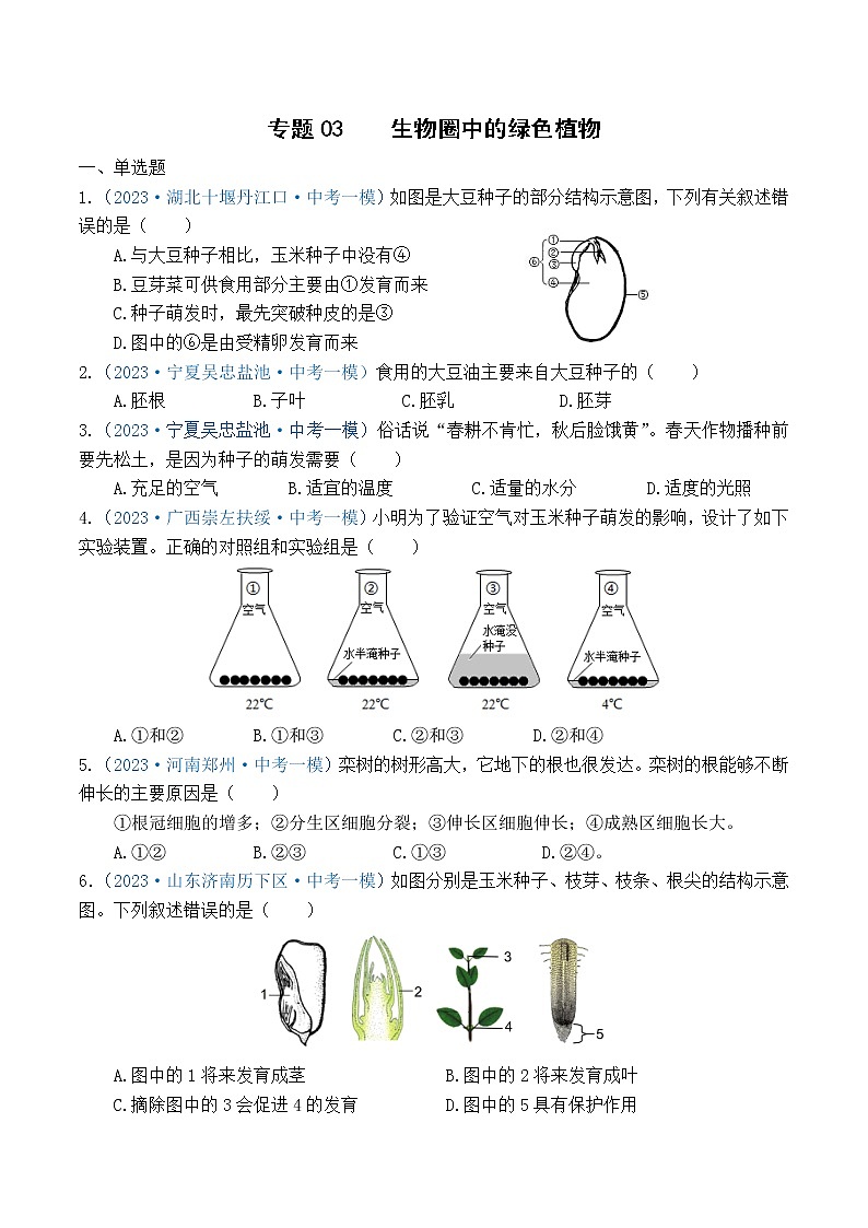 专题03 生物圈中的绿色植物（原卷版）第1页