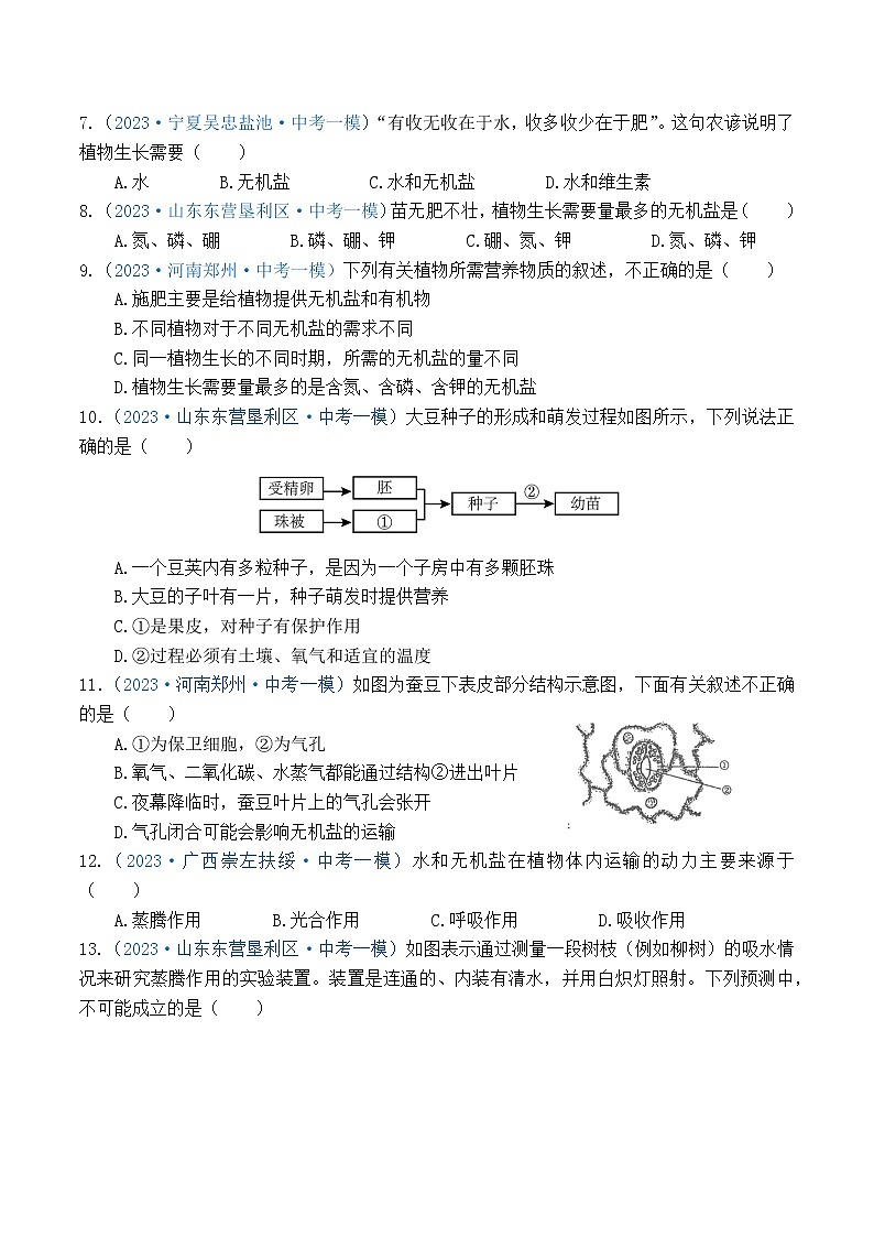 专题03 生物圈中的绿色植物（原卷版）第2页