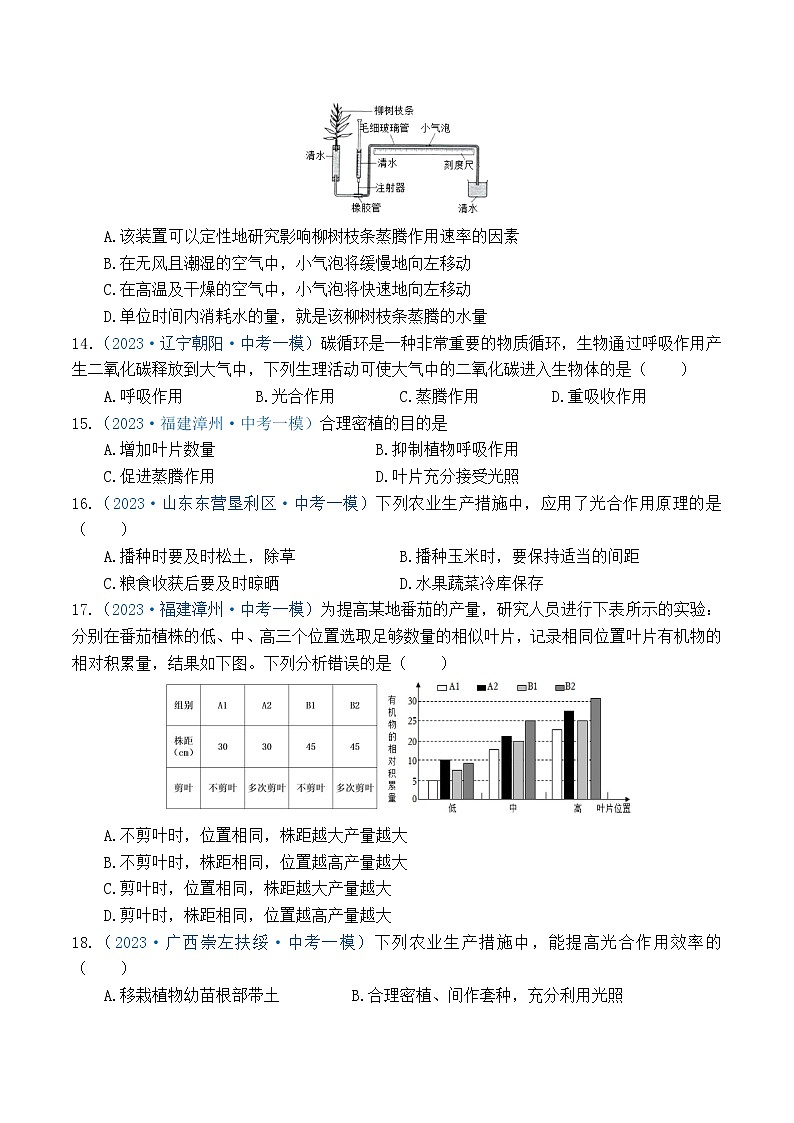 专题03 生物圈中的绿色植物（原卷版）第3页